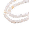 Natural Freshwater Shell Beads Strands X-BSHE-T009A-01B-3