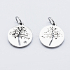 316 Surgical Stainless Steel Micro Pave Clear Cubic Zirconia Charms ZIRC-J040-17P-2
