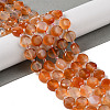 Natural Flower Agate Bead Strands G-NH0013-A01-01-2