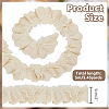 5M Cotton Embroidery Wrinkle Lace Trim OCOR-AR0002-06B-2