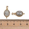 Natural Labradorite Faceted Pendans KK-L218-003G-03-3