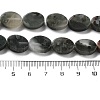 Natural Bloodstone Beads Strands G-P559-B17-01-5