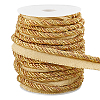 1 Bundle Polyester Twist Lip Cord Trim SRIB-WR0001-10C-1