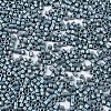 FGB 11/0 Grade A Baking Paint Glass Seed Beads SEED-S030-1040-2