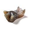 Natural Brazilian Agate Display Decorations DJEW-A008-05-4