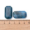 Natural Apatite Pendants G-H325-03-08-3