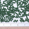 MIYUKI Round Rocailles Beads X-SEED-G007-RR2048-4
