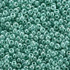 12/0 Imitation Jade Glass Seed Beads SEED-S049-A-013-3