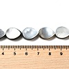 Natural Black Lip Shell Beads Strands BSHE-D300-04B-4