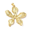 Rack Plating Brass & Cubic Zirconia Pendants KK-L216-068G-1