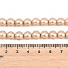 Eco-Friendly Dyed  Glass Pearl Round Beads Strands HY-A002-8mm-RB064-2