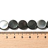 Natural Black Lip Shell Beads Strands BSHE-D300-05-12mm-4