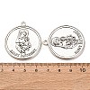Tibetan Style Alloy Pendants FIND-Z099-02AS-3