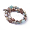 Natural Aqua Terra Jasper Beads Strands G-F612-05-2