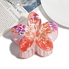 Resin Claw Hair Clips PW-WG7528A-03-1