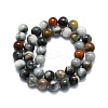 Natural Eagle Eye Stone Beads Strands G-K245-A09-05-2