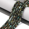 Natural African Turquoise(Jasper) Beads Strands G-F717-02A-01-2