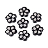 Acrylic & Natural Freshwater Shell Cabochons OACR-N164-05-1