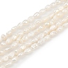 Natural Cultured Freshwater Pearl Beads Strands PEAR-P064-20E-01A-2