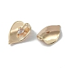 Brass Cubic Zirconia Pendants KK-H482-12G-03-2