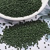 MIYUKI Delica Beads LS-X-SEED-J020-DB2291-1