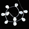 Natural Freshwater Shell Beads Strands SHEL-N026-153A-01-2