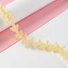 Transparent Glass Beads Strand GLAA-K002-02G-2