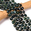 Natural Moss Agate Beads Strands G-C116-A92-01-1