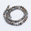 Round Natural Botswana Agate Bead Strands X-G-I166-02-6mm-4
