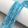 Afghan Synthetic Turquoise Beads Strands G-L644-B01-01-1
