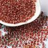 6/0 Transparent Inside Colours Glass Seed Beads SEED-P006-01A-05-1