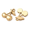 304 Stainless Steel Charms STAS-Z176-01G-01-2