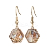 Natural Paua Shell Dangle Earrings EJEW-JE06274-3
