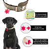 Transparent Blank Acrylic Pet Dog ID Tag PALLOY-AB00040-5