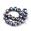 Natural Cultured Freshwater Pearl Beads Strands PEAR-N014-10E-01-2