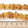 Natural Amber Beads Strands G-L095-D01-06-5