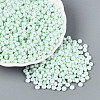 Opaque Glass Seed Beads SEED-N012-09A-05-1