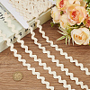 10 Yards Cotton Wave Bending Lace Trim OCOR-AN0001-06-7