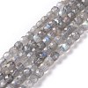Natural Labradorite Beads Strands G-D0003-B10-1