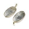 Natural Labradorite Pendants G-K338-05B-3