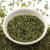 Glass Seed Beads SEED-S042-04B-25-2
