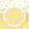 Baking Paint Glass Seed Beads SEED-T007-15B-1