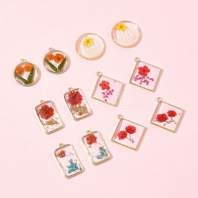 12Pcs 6 Styles Transparent Clear Epoxy Resin Pendants RESI-FS0001-88A-1
