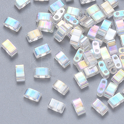 FGB 2-Hole Transparent Glass Seed Beads SEED-S031-M-250-1