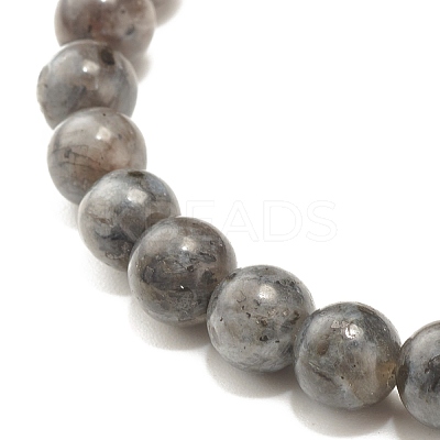 Natural Larvikite Round Beads Stretch Bracelet BJEW-JB07209-03-1