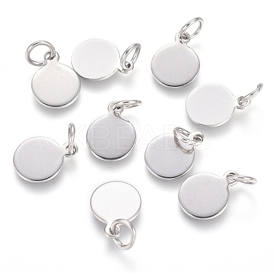 Non-Tarnish 304 Stainless Steel Charms LS-STAS-I124-02B-P-1
