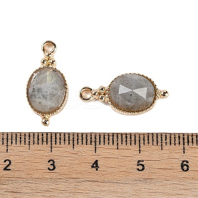 Natural Labradorite Faceted Pendans KK-L218-003G-03-1