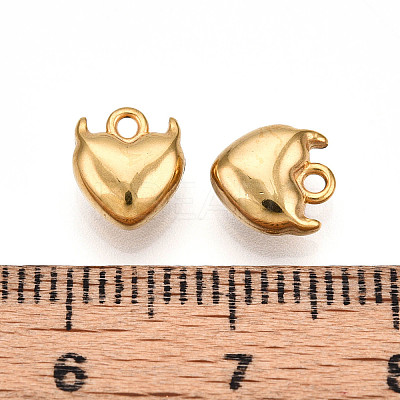 304 Stainless Steel Charms LS-STAS-N109-141G-1