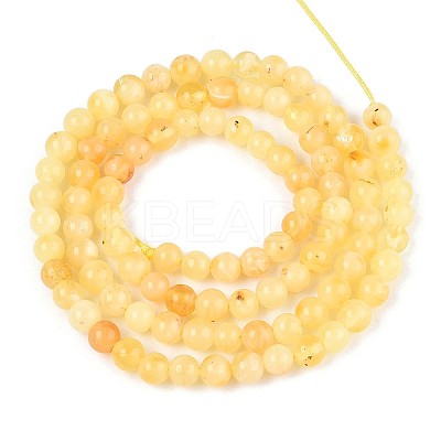 Natural Yellow Amber Beads Strands G-N351-04A-01-1