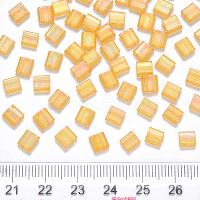 FGB 2-Hole Baking Paint Transparent Glass Seed Beads X-SEED-S031-L-251-1